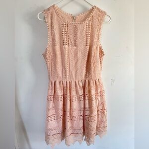 BB Dakota Blush Textured Dress